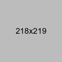 portfolio item image